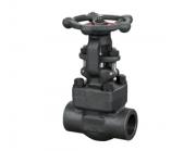 鍛鋼閘閥的顏色為什么通常都是黑色的呢？